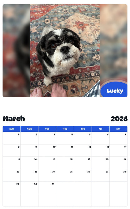 November 2025 - October 2026 Lucky - Pawidols Pet Calendar