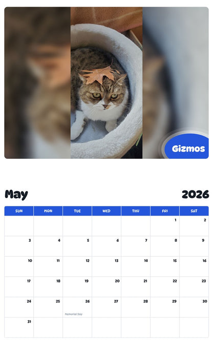 2026 - 2027 Gizmos - Pawidols Pet Calendar