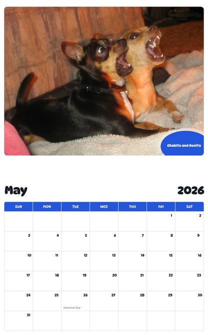 2026 - 2027 Chakita and Bonita - Pawidols Pet Calendar