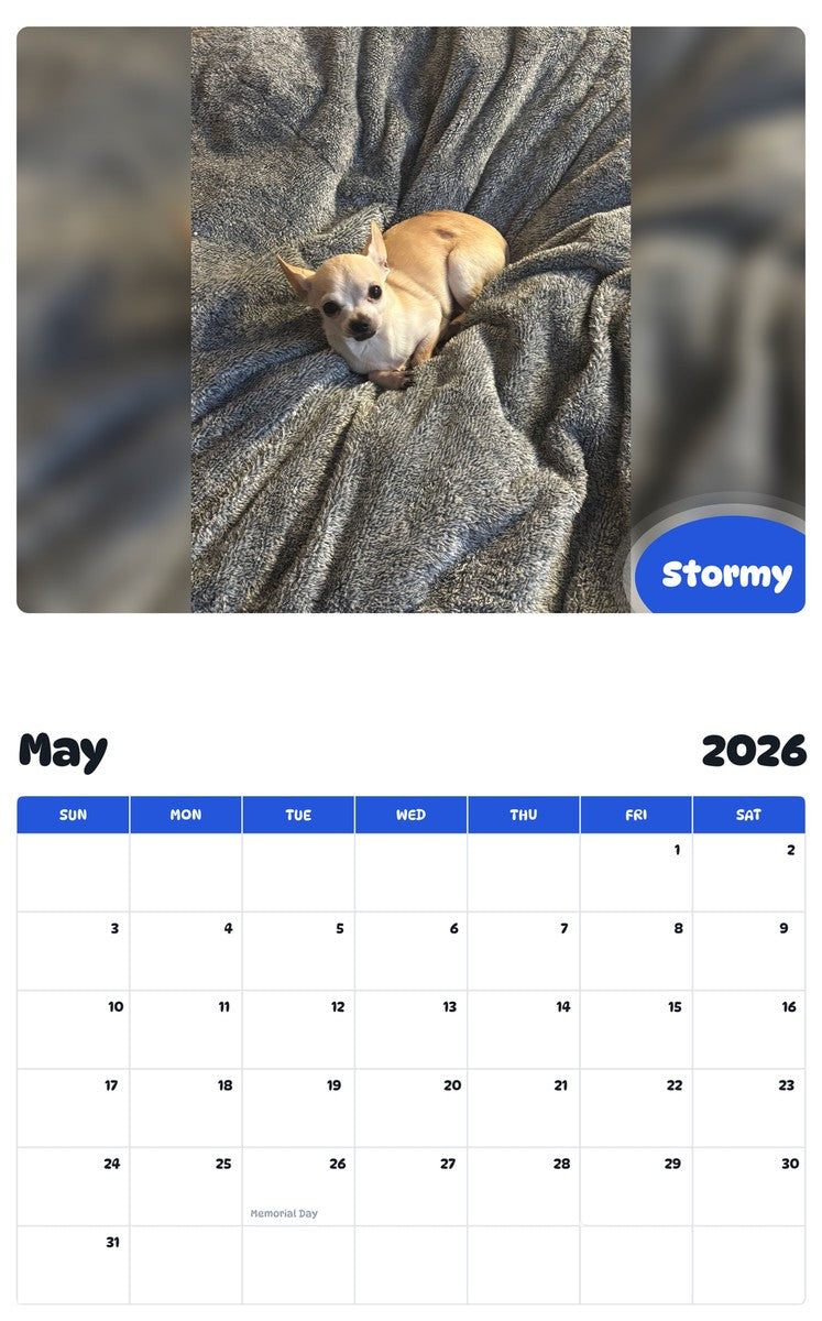 2026 - 2027 Stormy - Pawidols Pet Calendar