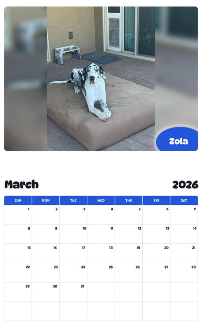 November 2025 - October 2026 Zola - Pawidols Pet Calendar