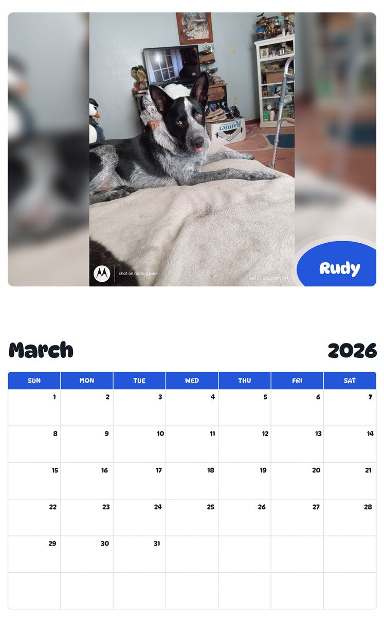 November 2025 - October 2026 Rudy - Pawidols Pet Calendar