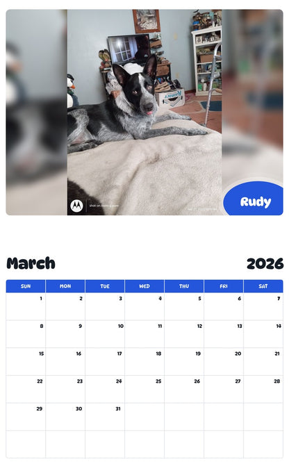 November 2025 - October 2026 Rudy - Pawidols Pet Calendar