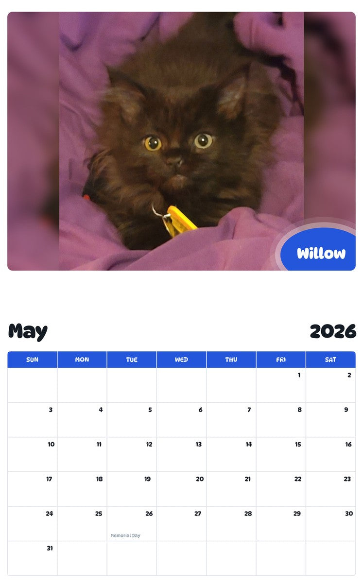 2026 - 2027 Willow - Pawidols Pet Calendar