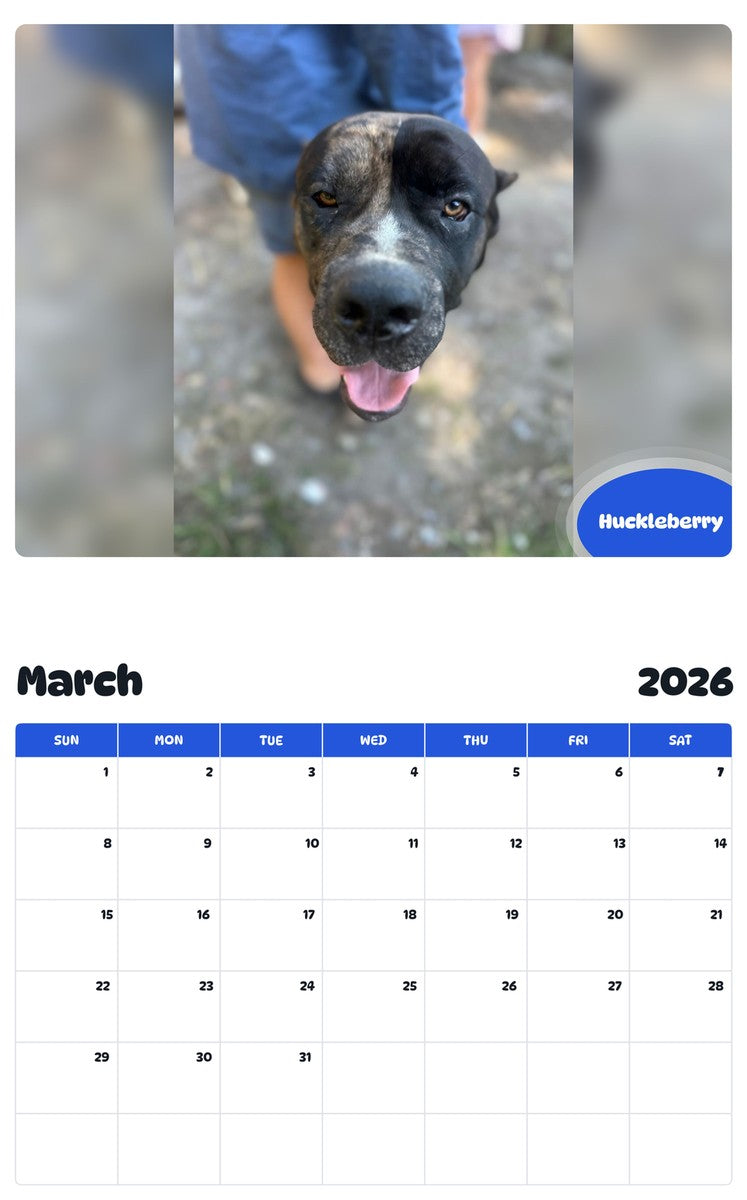November 2025 - October 2026 Huckleberry - Pawidols Pet Calendar