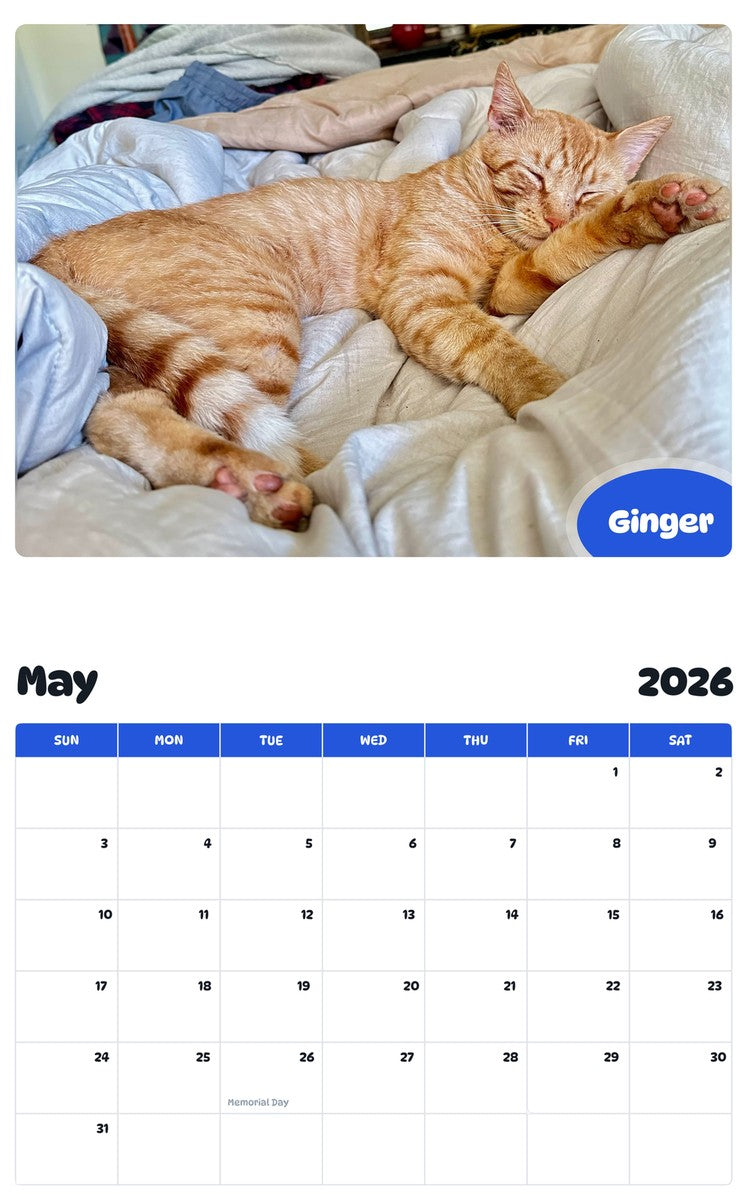 2026 - 2027 Ginger - Pawidols Pet Calendar