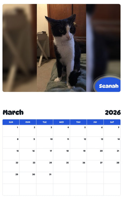 November 2025 - October 2026 Seanah - Pawidols Pet Calendar