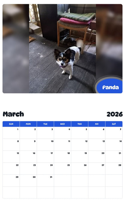 November 2025 - October 2026 Panda - Pawidols Pet Calendar