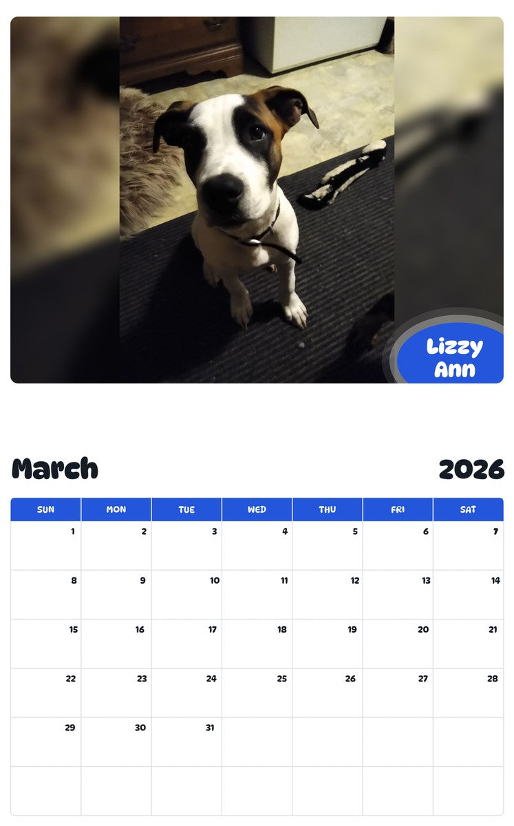 November 2025 - October 2026 Lizzy Ann - Pawidols Pet Calendar