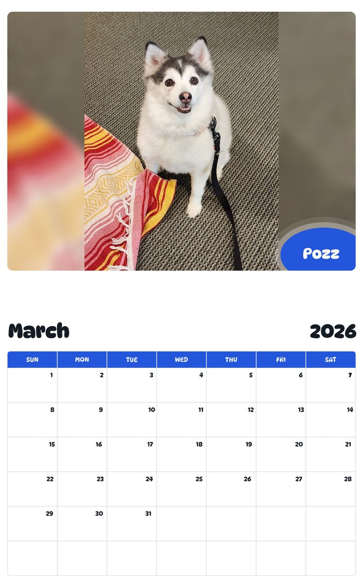 November 2025 - October 2026 Pozz - Pawidols Pet Calendar