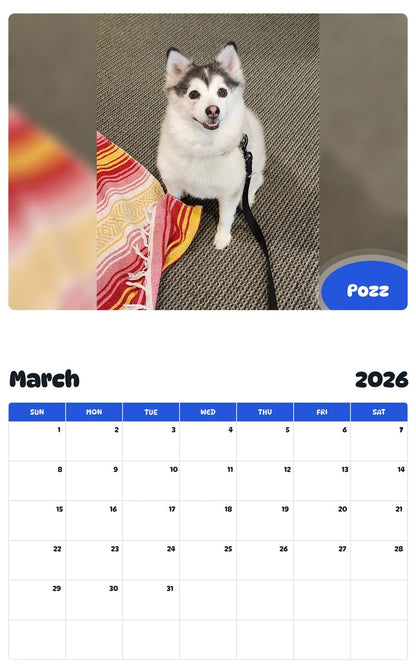 November 2025 - October 2026 Pozz - Pawidols Pet Calendar