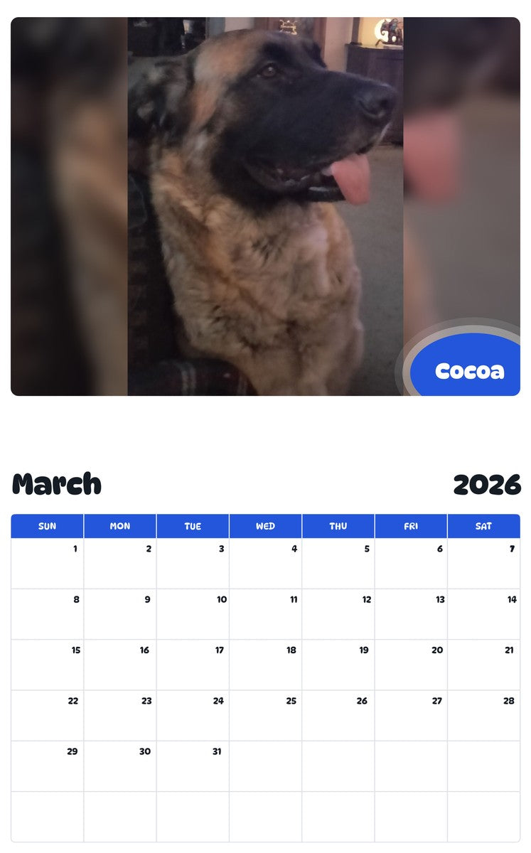 November 2025 - October 2026 Cocoa - Pawidols Pet Calendar