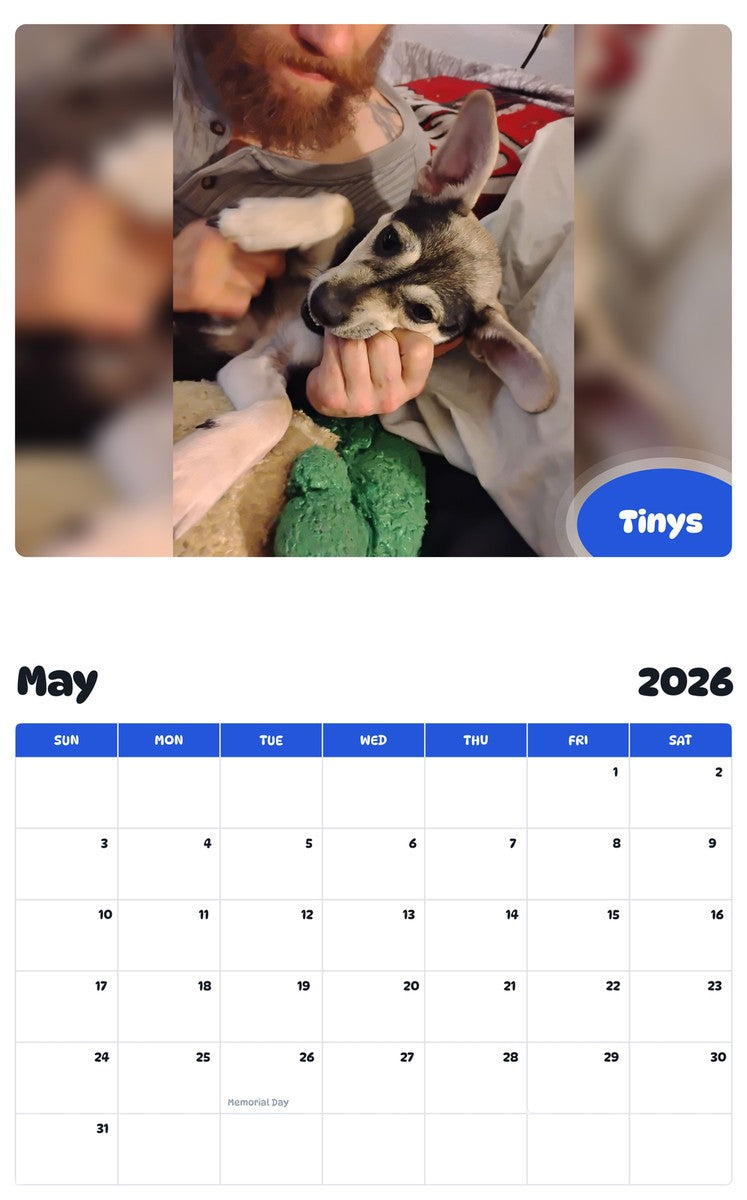 2026 - 2027 Tinys - Pawidols Pet Calendar
