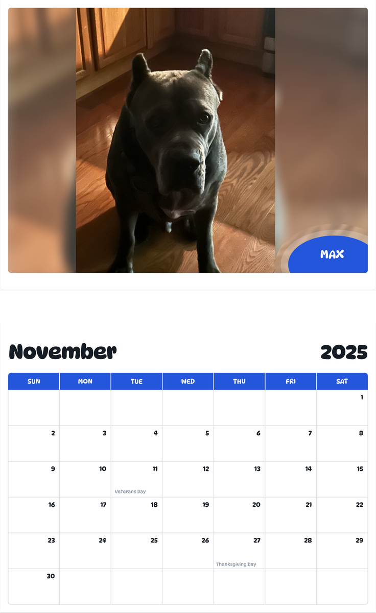 July 2025 - June 2026 Max - Pawidols Pet Calendar
