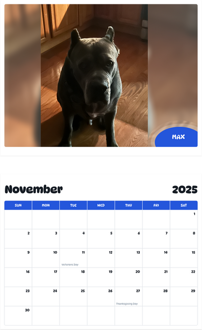July 2025 - June 2026 Max - Pawidols Pet Calendar