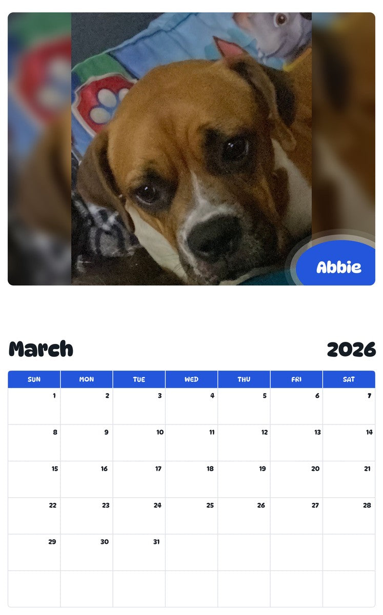 November 2025 - October 2026 Abbie - Pawidols Pet Calendar