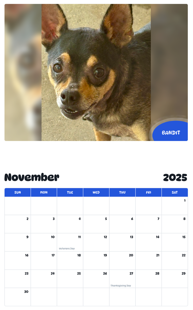 July 2025 - June 2026 Bandit - Pawidols Pet Calendar