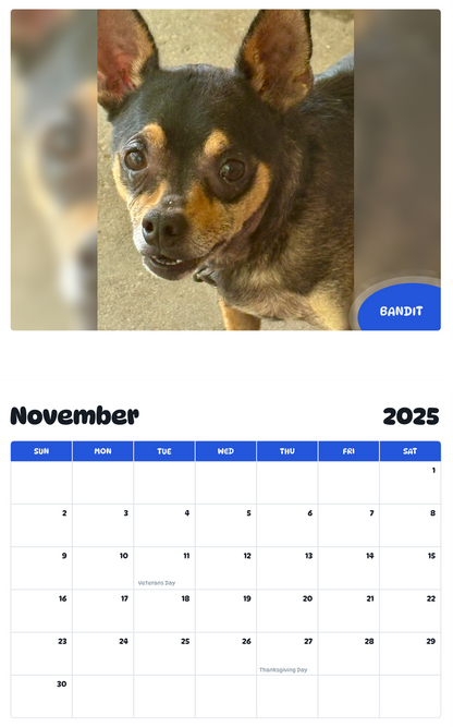July 2025 - June 2026 Bandit - Pawidols Pet Calendar
