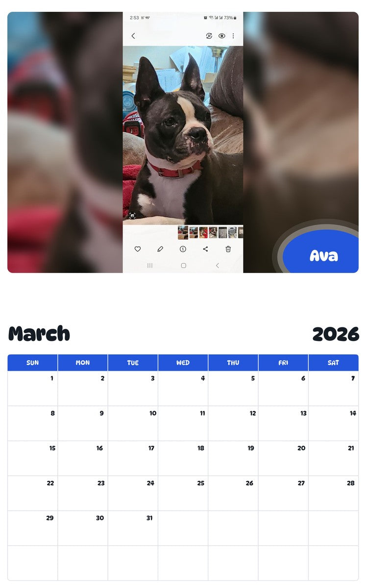 November 2025 - October 2026 Ava - Pawidols Pet Calendar