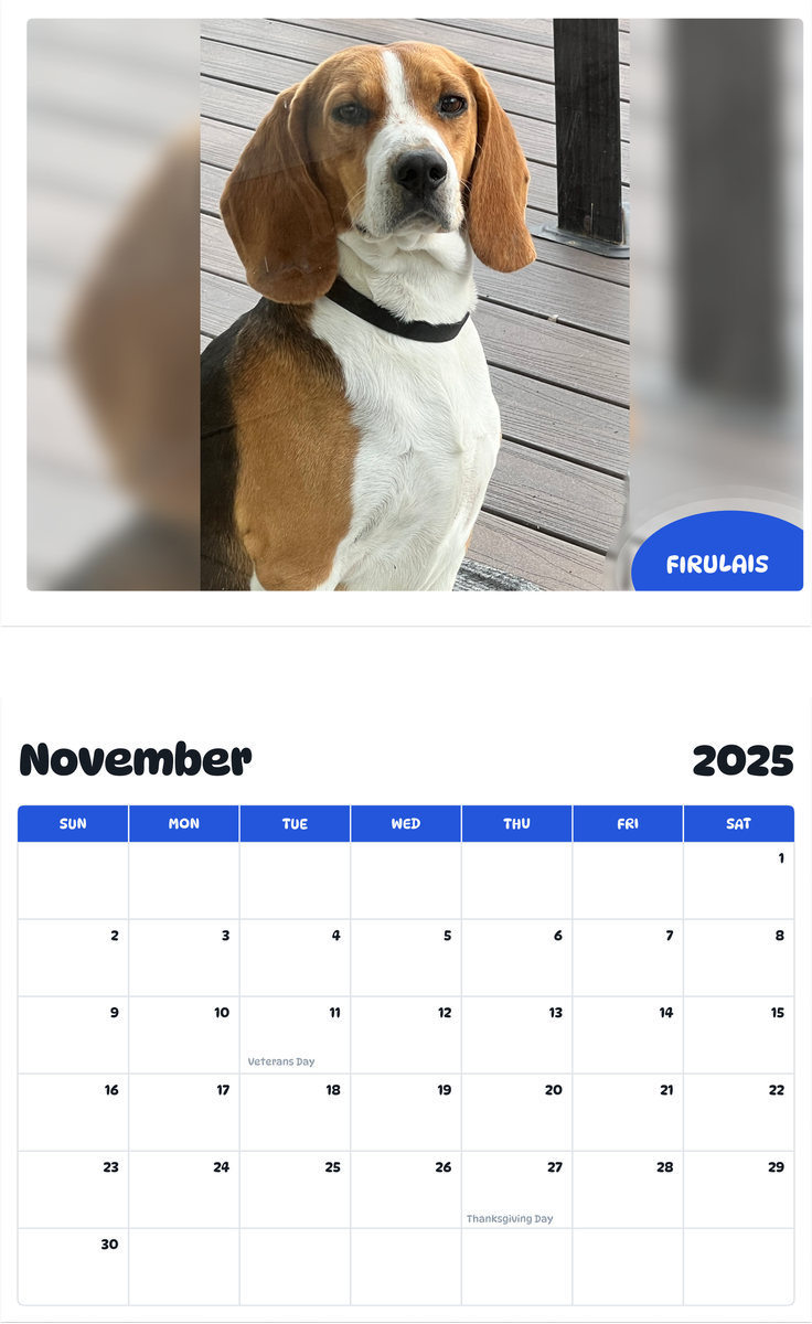 July 2025 - June 2026 Firulais - Pawidols Pet Calendar