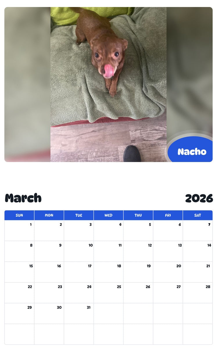 November 2025 - October 2026 Nacho - Pawidols Pet Calendar