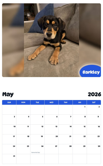 2026 - 2027 Barkley - Pawidols Pet Calendar