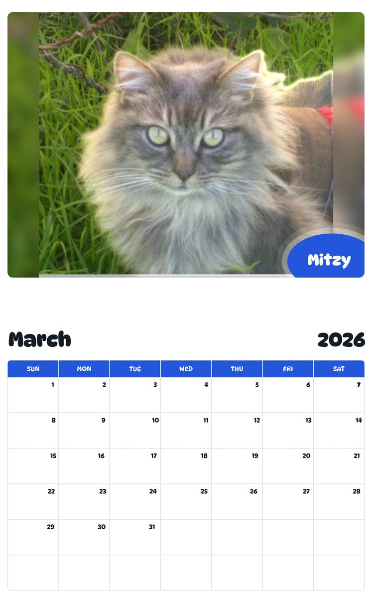 November 2025 - October 2026 Mitzy - Pawidols Pet Calendar
