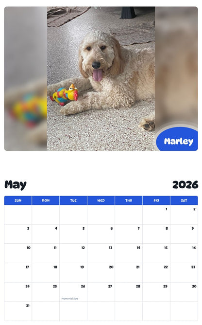 2026 - 2027 Marley - Pawidols Pet Calendar