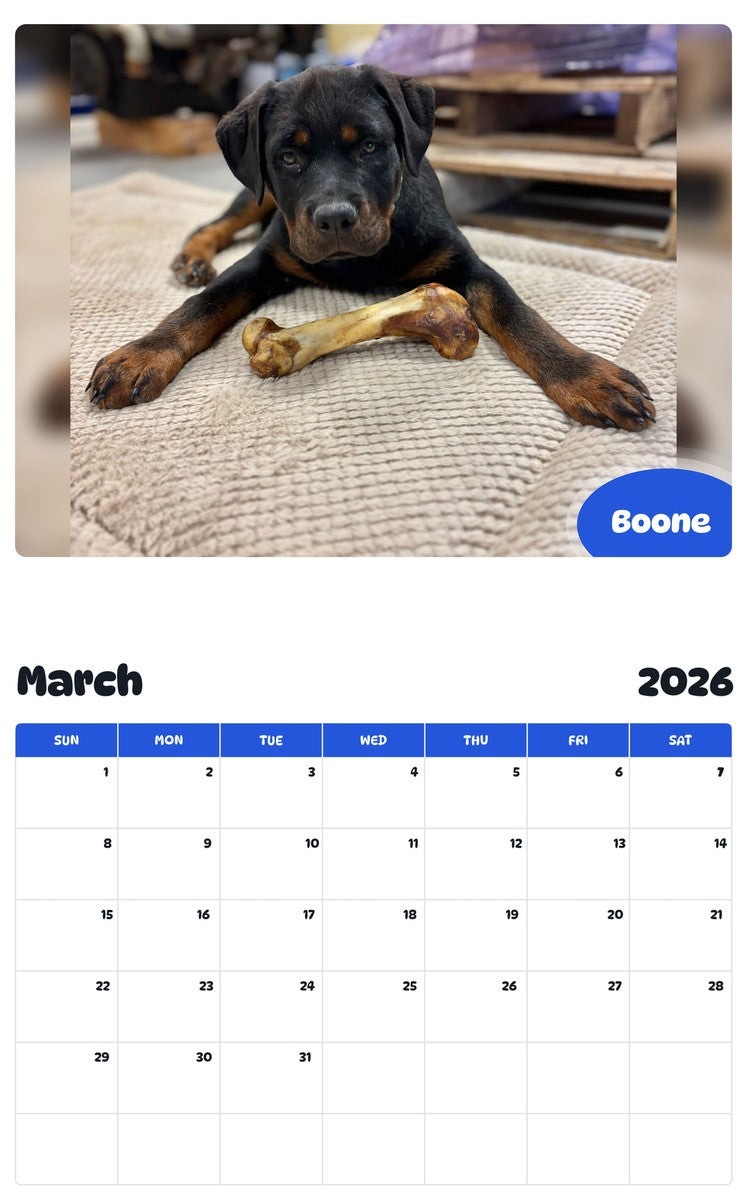 November 2025 - October 2026 Boone - Pawidols Pet Calendar