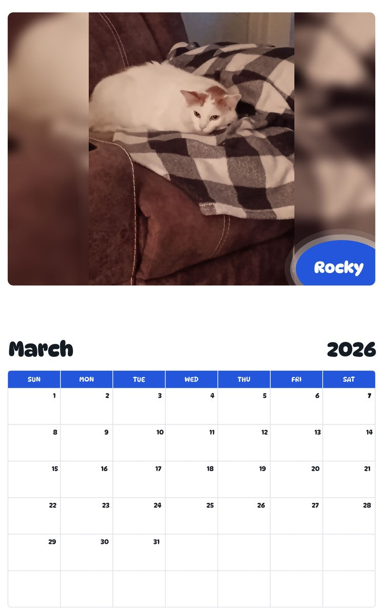 November 2025 - October 2026 Rocky - Pawidols Pet Calendar