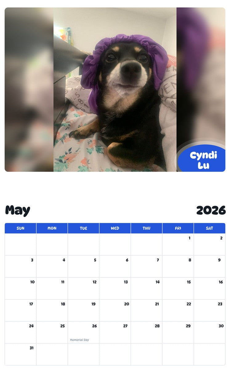2026 - 2027 Cyndi Lu - Pawidols Pet Calendar