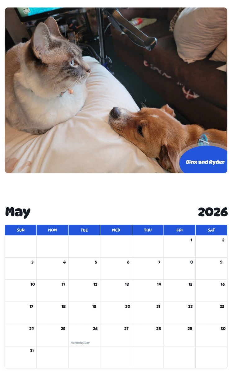 2026 - 2027 Binx and Ryder - Pawidols Pet Calendar