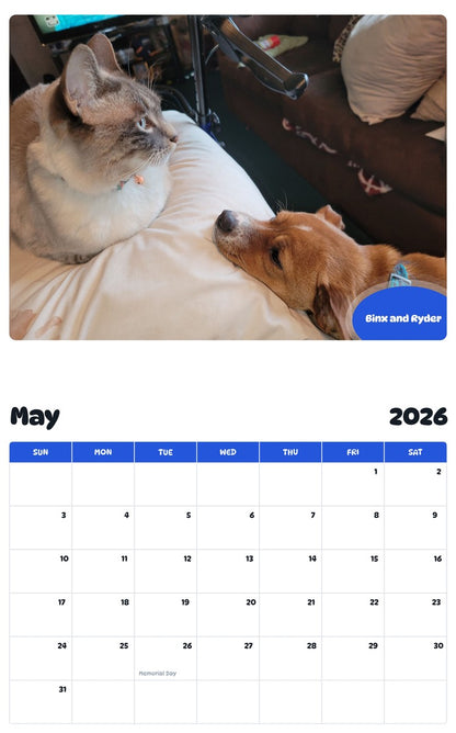 2026 - 2027 Binx and Ryder - Pawidols Pet Calendar
