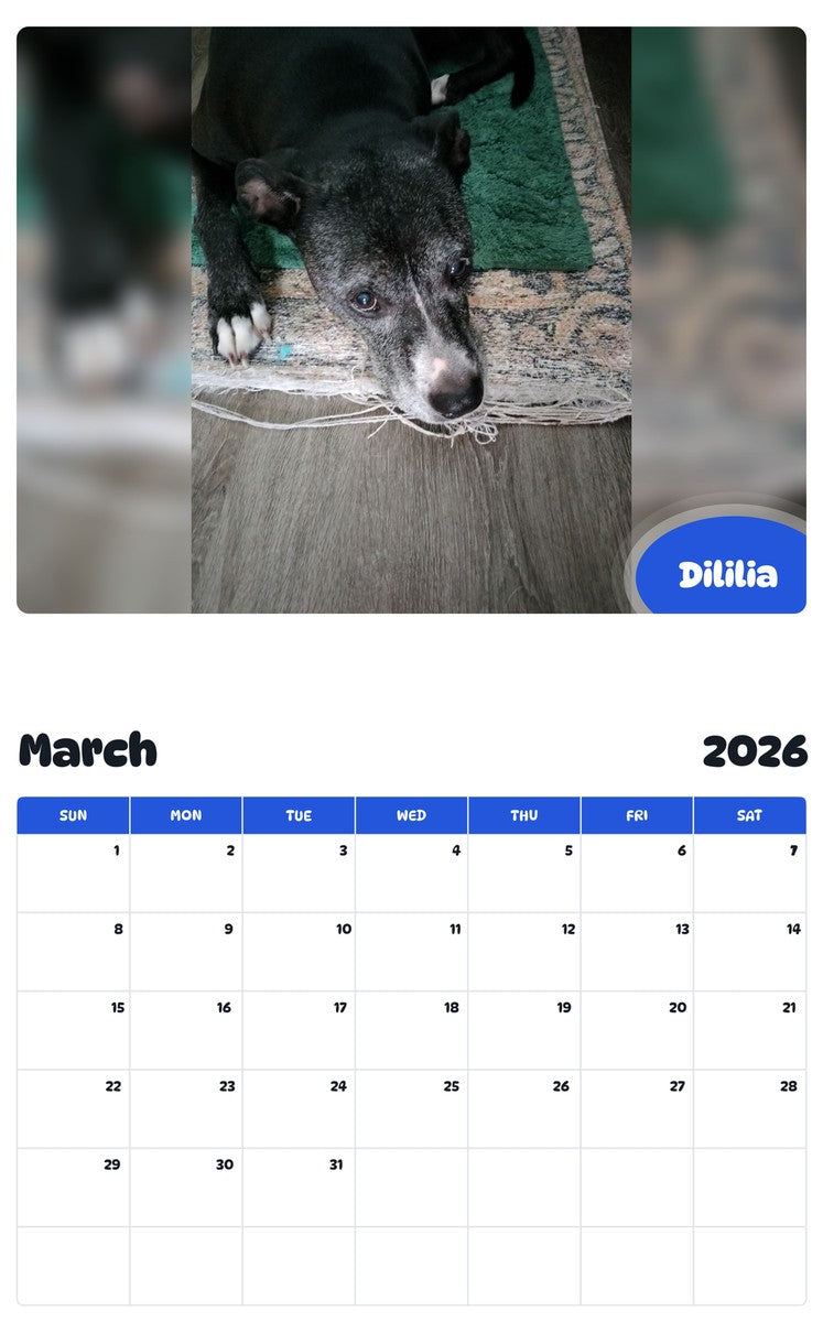 November 2025 - October 2026 Dililia - Pawidols Pet Calendar