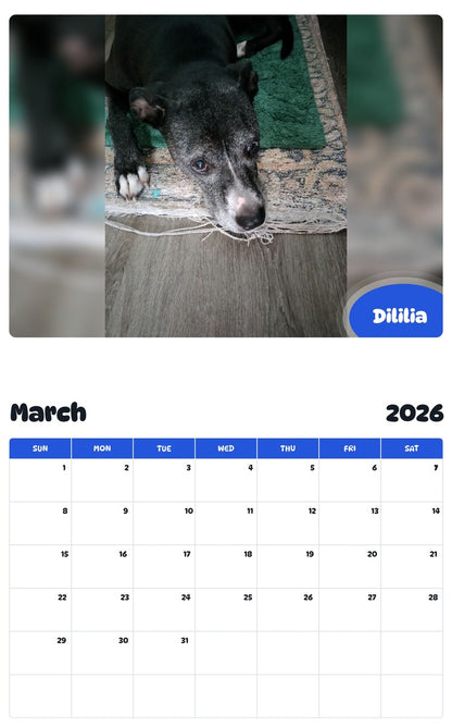 November 2025 - October 2026 Dililia - Pawidols Pet Calendar