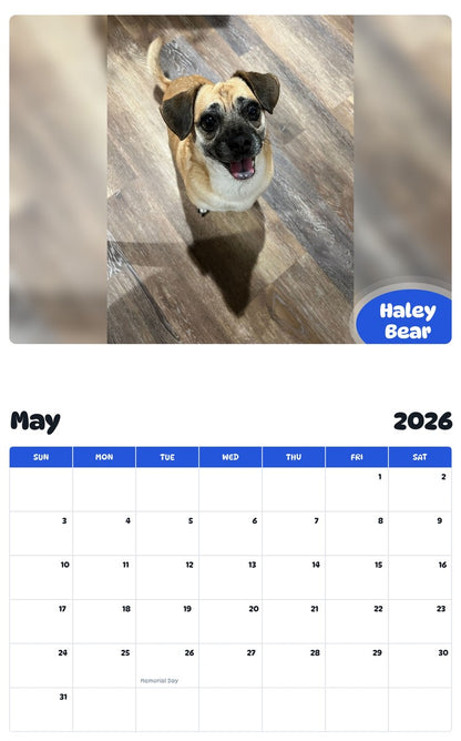 2026 - 2027 Haley Bear - Pawidols Pet Calendar