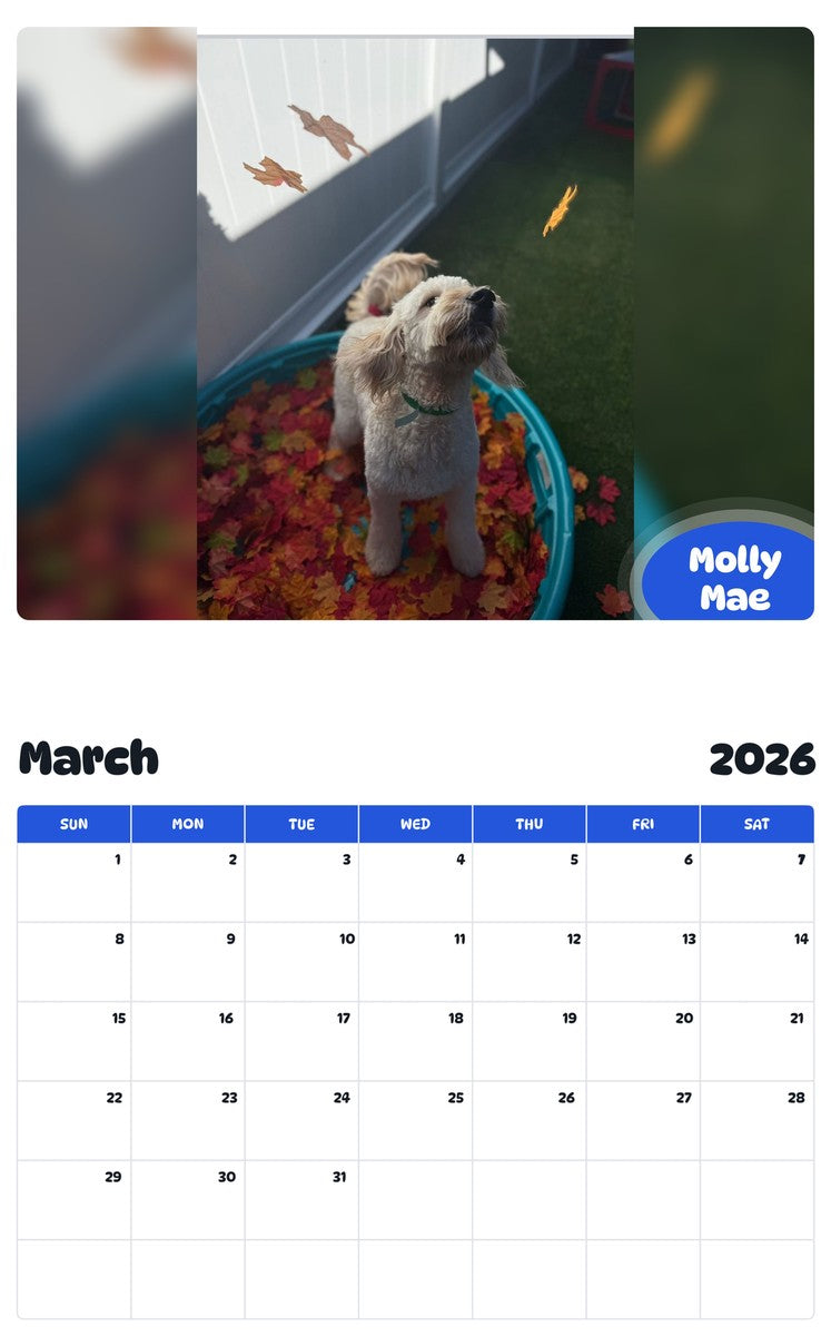 November 2025 - October 2026 Molly Mae - Pawidols Pet Calendar