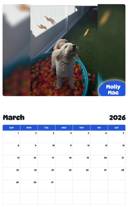 November 2025 - October 2026 Molly Mae - Pawidols Pet Calendar