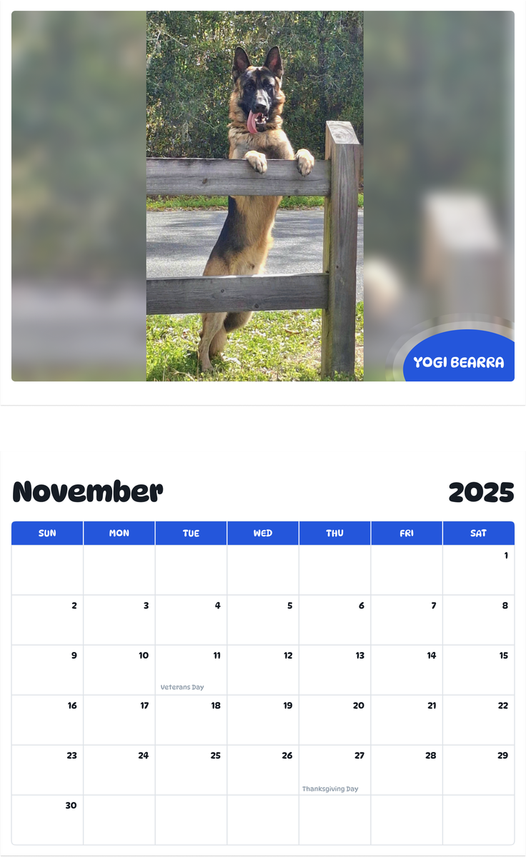 July 2025 - June 2026 Yogi Bearra - Pawidols Pet Calendar