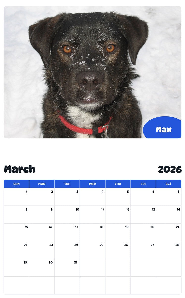 November 2025 - October 2026 Max - Pawidols Pet Calendar