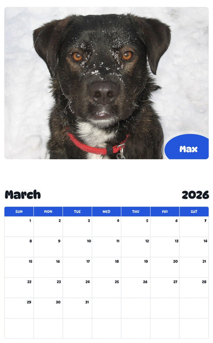 November 2025 - October 2026 Max - Pawidols Pet Calendar