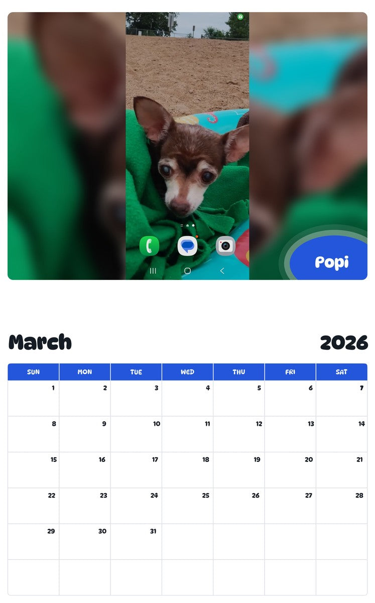 November 2025 - October 2026 Popi - Pawidols Pet Calendar