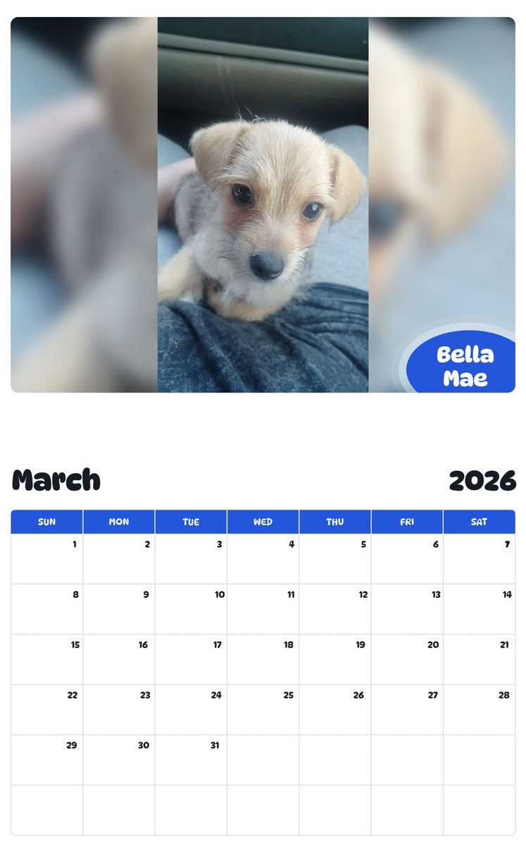 November 2025 - October 2026 Bella Mae - Pawidols Pet Calendar