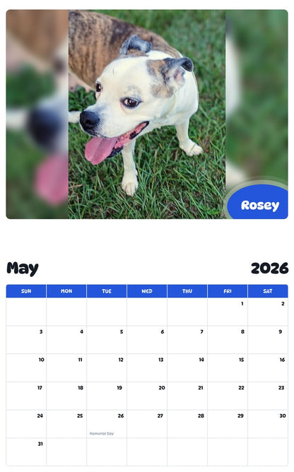 2026 - 2027 Rosey - Pawidols Pet Calendar