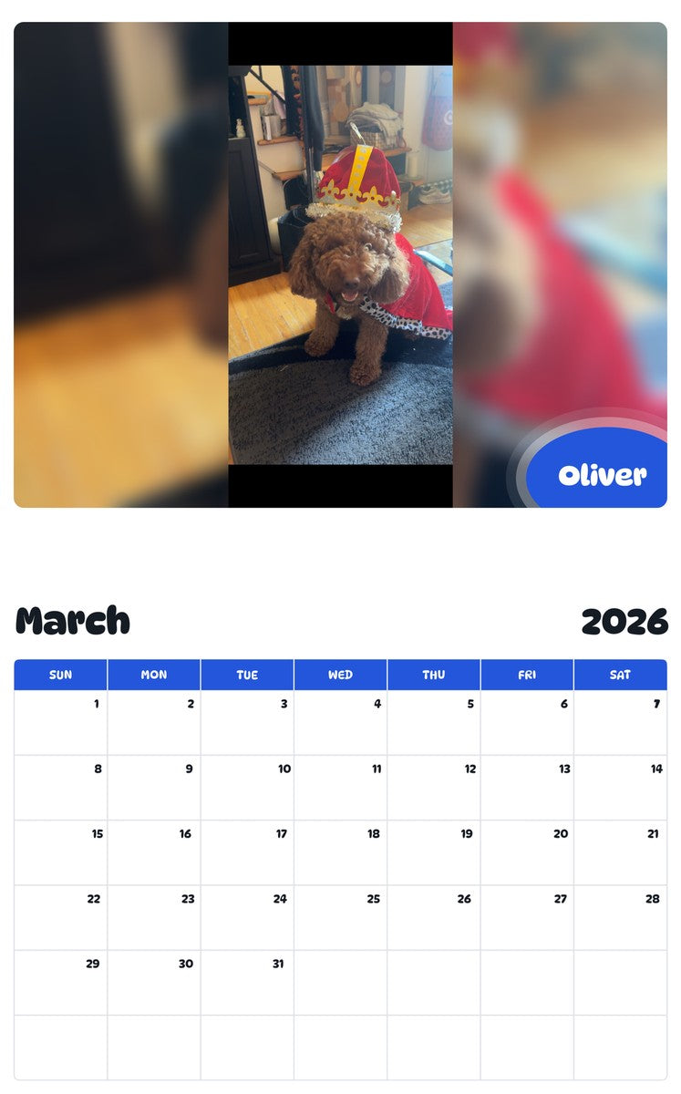 November 2025 - October 2026 Oliver - Pawidols Pet Calendar