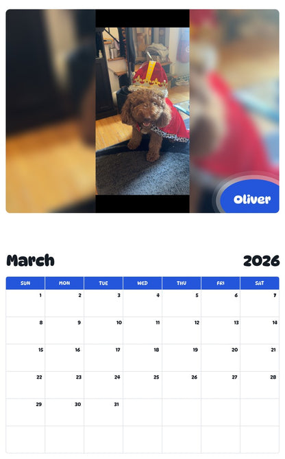 November 2025 - October 2026 Oliver - Pawidols Pet Calendar