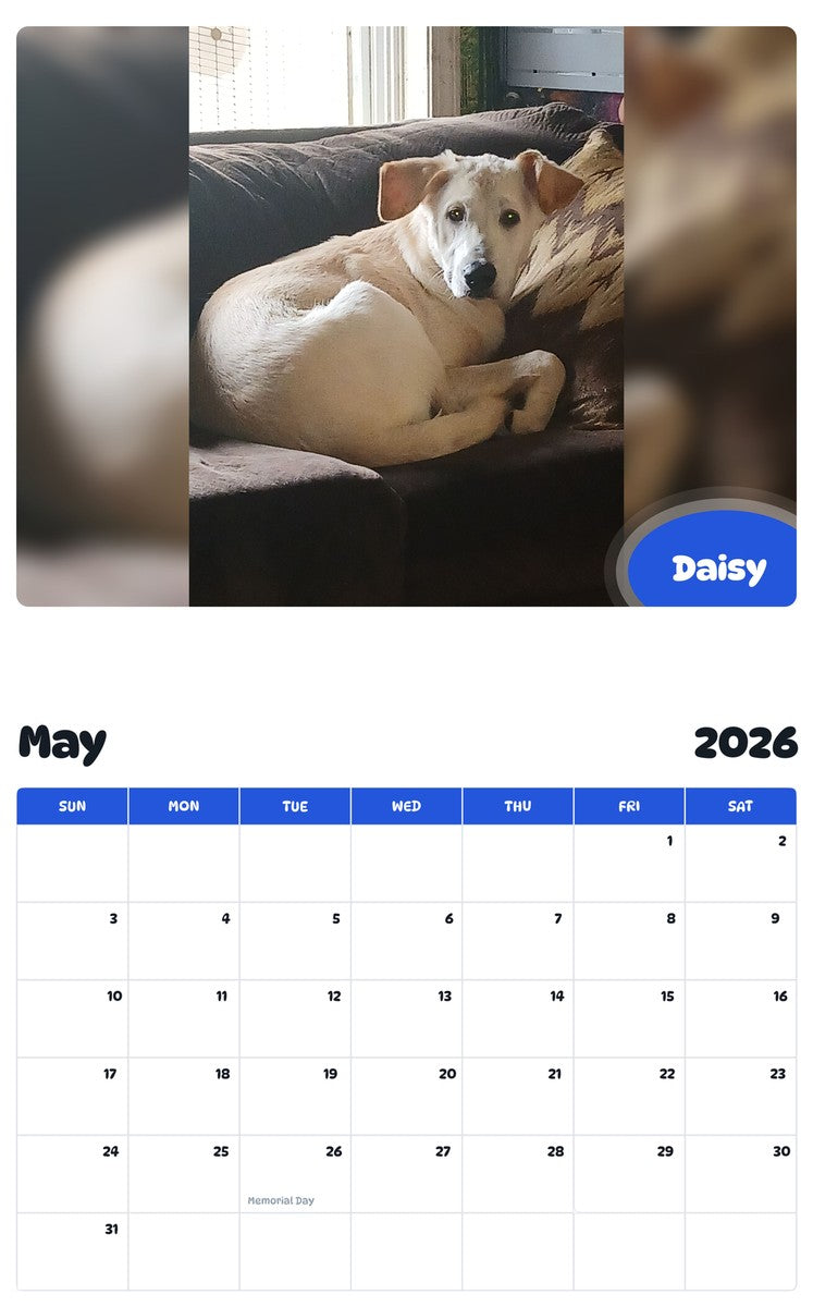 2026 - 2027 Daisy - Pawidols Pet Calendar