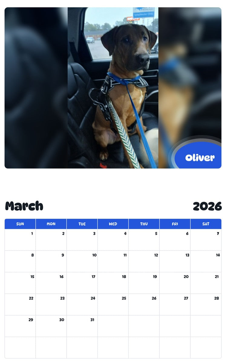 November 2025 - October 2026 Oliver - Pawidols Pet Calendar