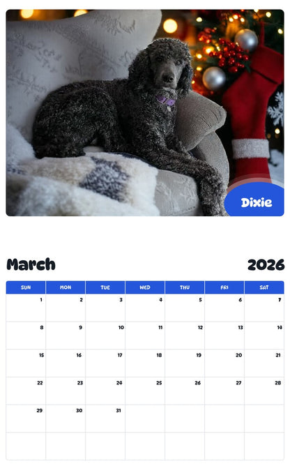 November 2025 - October 2026 Dixie - Pawidols Pet Calendar