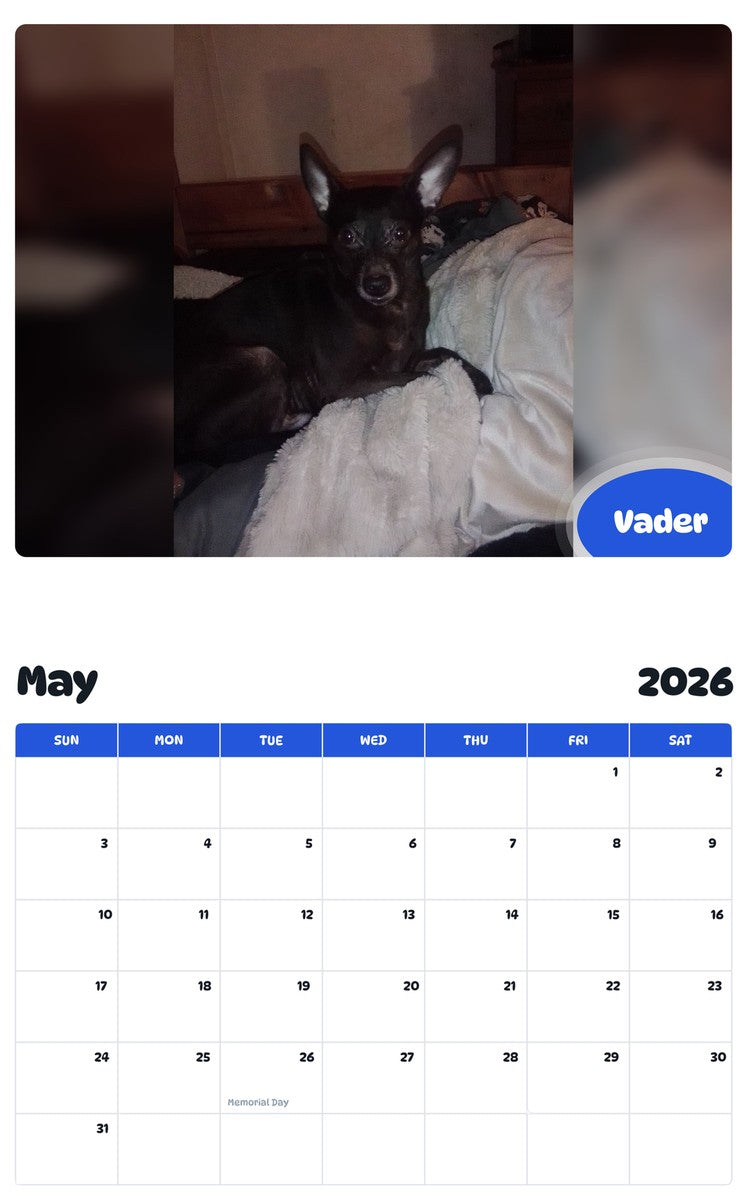 2026 - 2027 Vader - Pawidols Pet Calendar